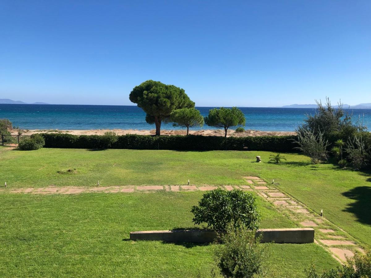 Beachfront Villa Hoopoe Schinias, Marathon Екстер'єр фото